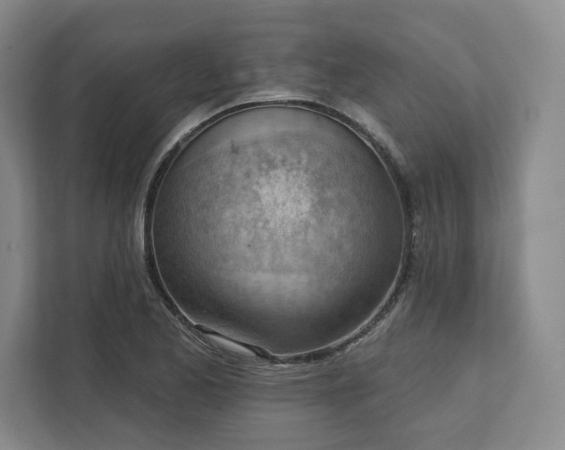 X0000111941173200908031132