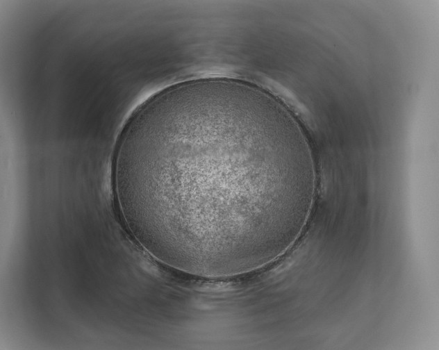 X0000111941174200908031132