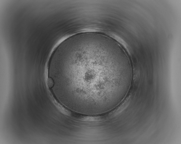 X0000111941179200908031132