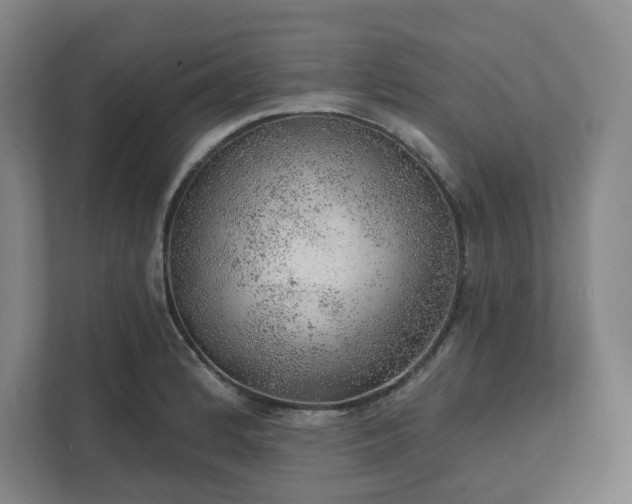 X0000111941184200908031132