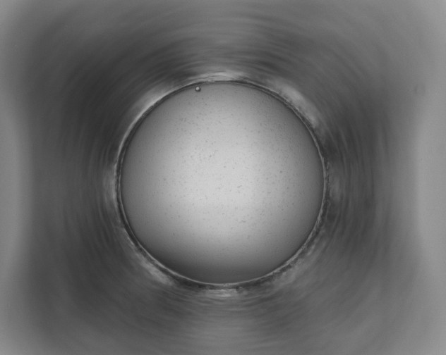 X0000111941186200908031132