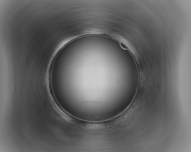 X0000111941187200908031132