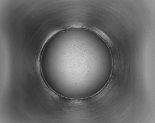 X0000111941190200908031132