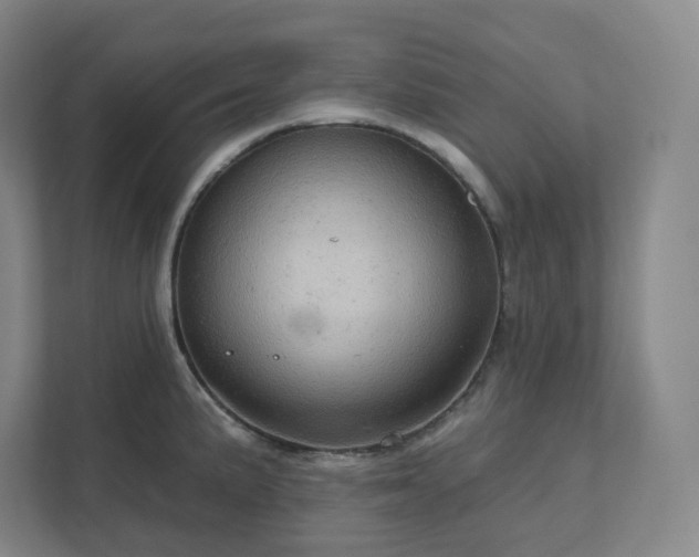 X0000111941191200908031132