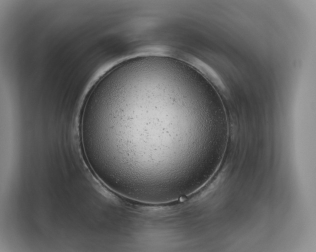 X0000111941192200908031132