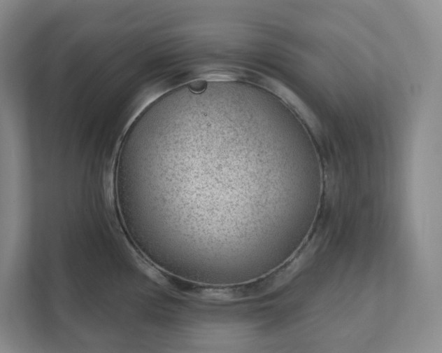 X0000111941194200908031132