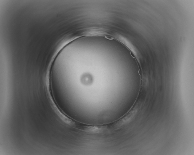 X0000111941195200908031132