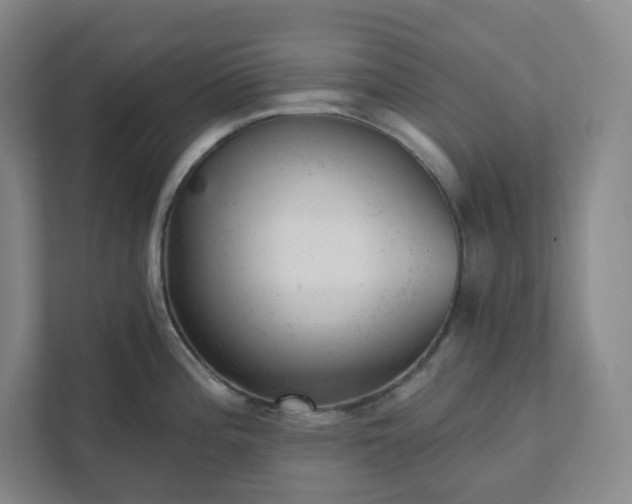 X0000111941196200908031132