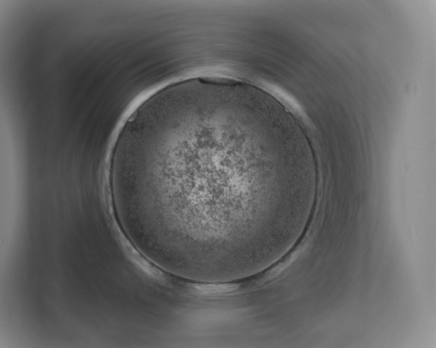 X0000111941200200908031132