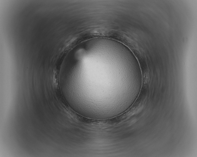 X0000111941202200908031131