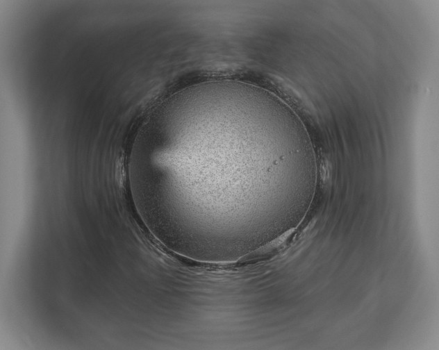 X0000111941204200908031131