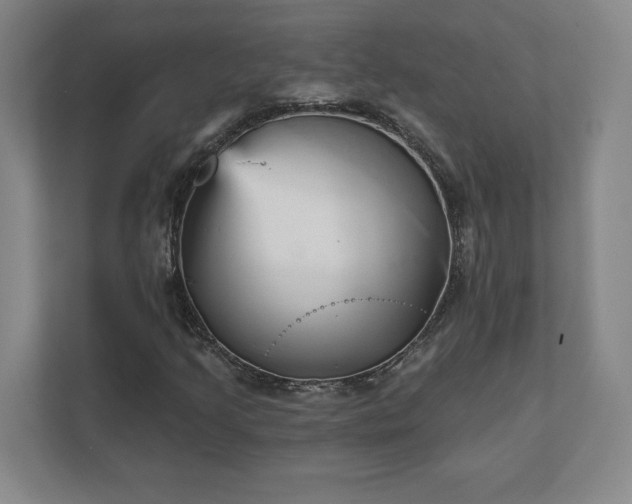 X0000111941205200908031131