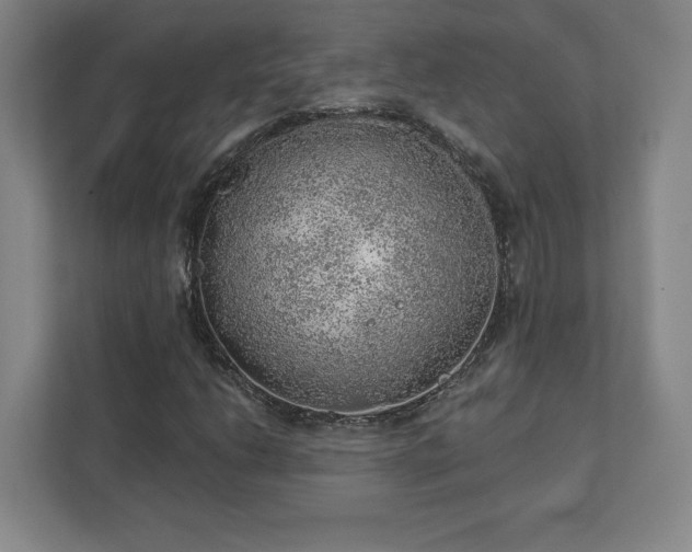 X0000111941206200908031131