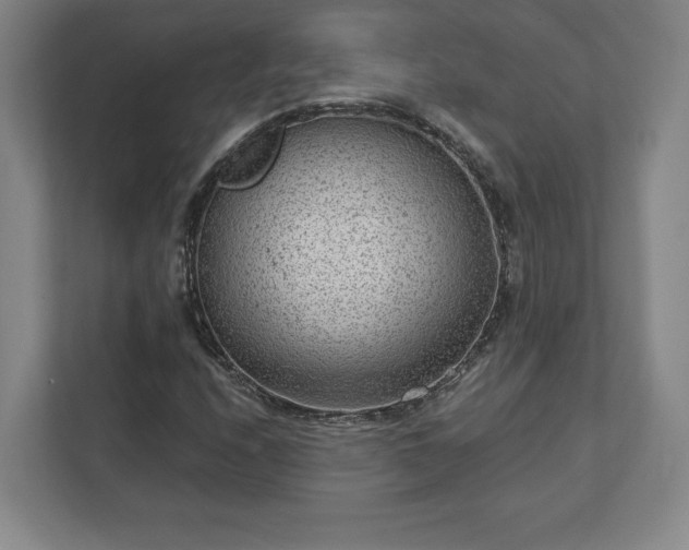 X0000111941208200908031131