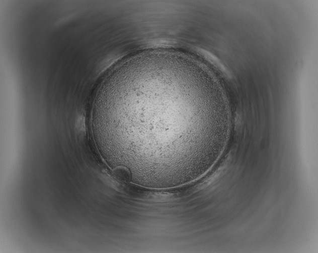 X0000111941209200908031131