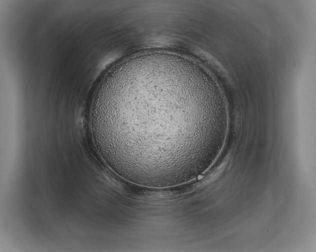 X0000111941210200908031131