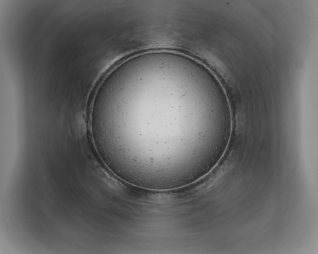 X0000111941212200908031131