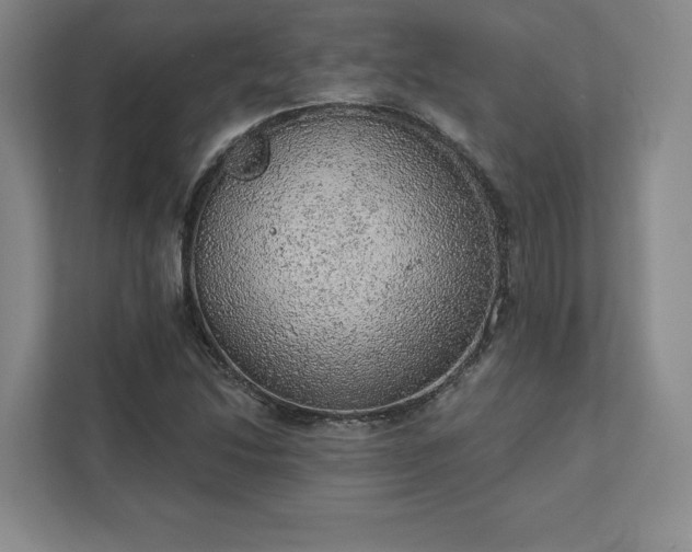 X0000111941214200908031131