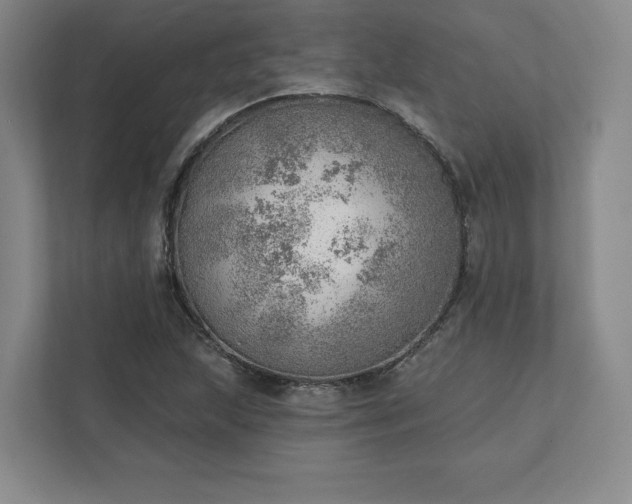 X0000111941215200908031131