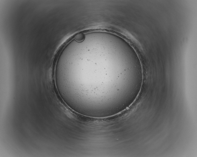 X0000111941216200908031131