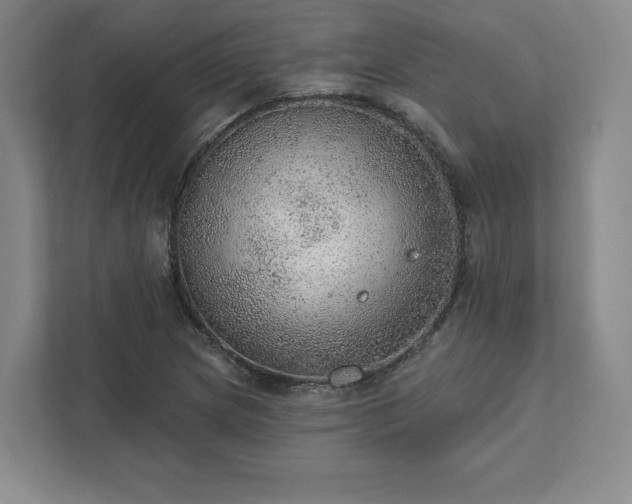 X0000111941217200908031131