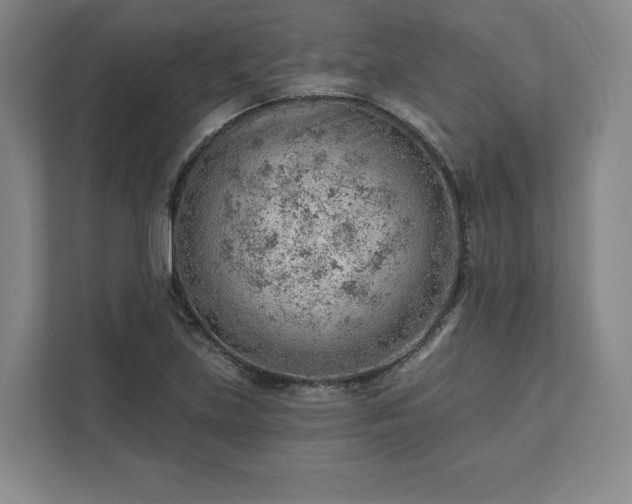 X0000111941219200908031131