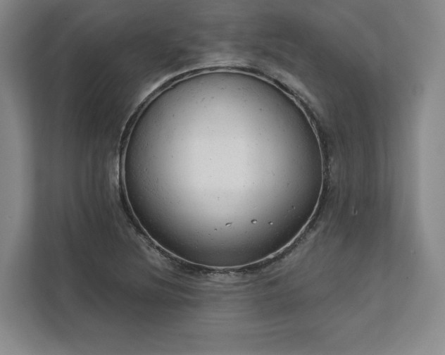 X0000111941220200908031131