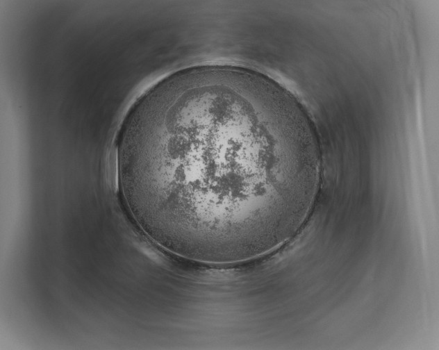 X0000111941223200908031131