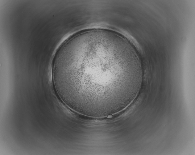 X0000111941224200908031131