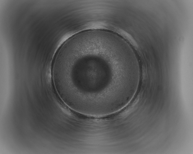 X0000111941226200908031131