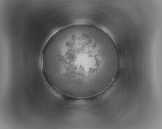 X0000111941227200908031131