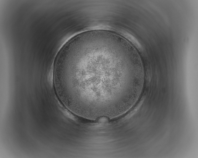 X0000111941228200908031131