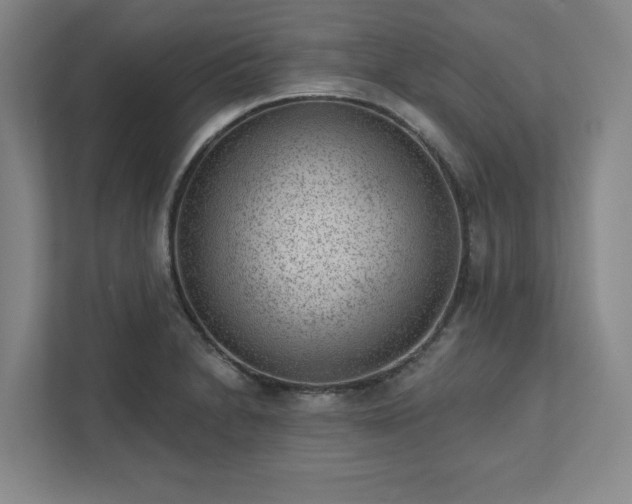 X0000111941230200908031131