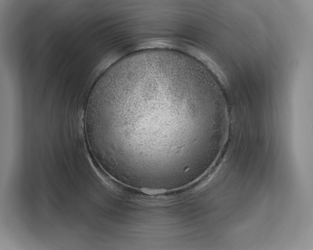 X0000111941233200908031131