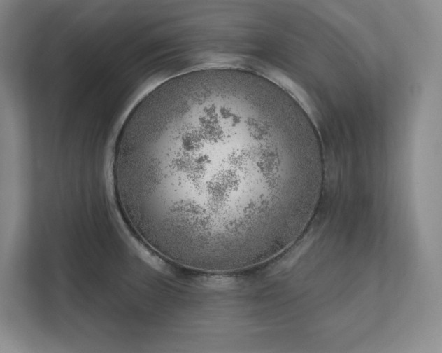 X0000111941235200908031131