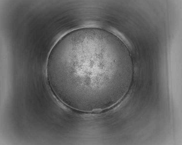 X0000111941236200908031131