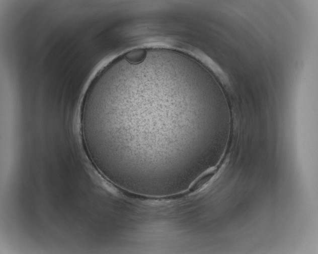 X0000111941240200908031132