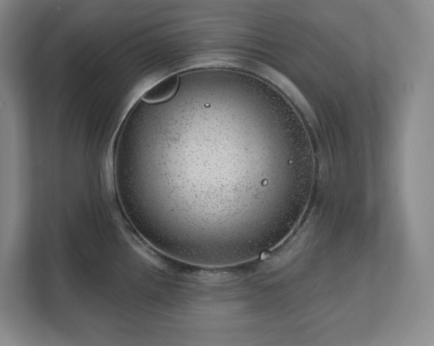 X0000111941242200908031132