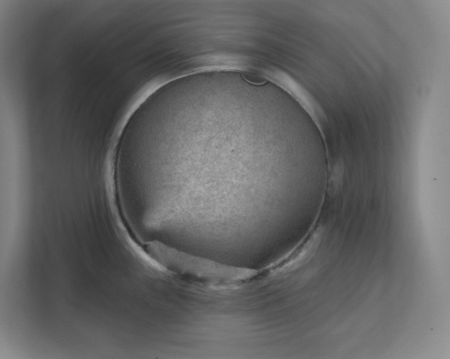 X0000111941243200908031132