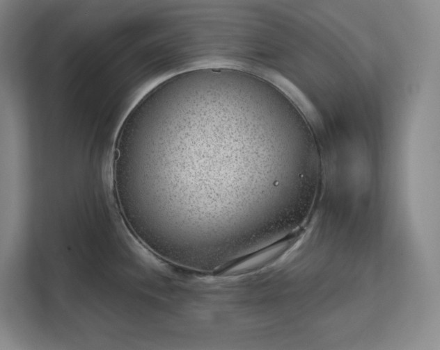 X0000111941244200908031132