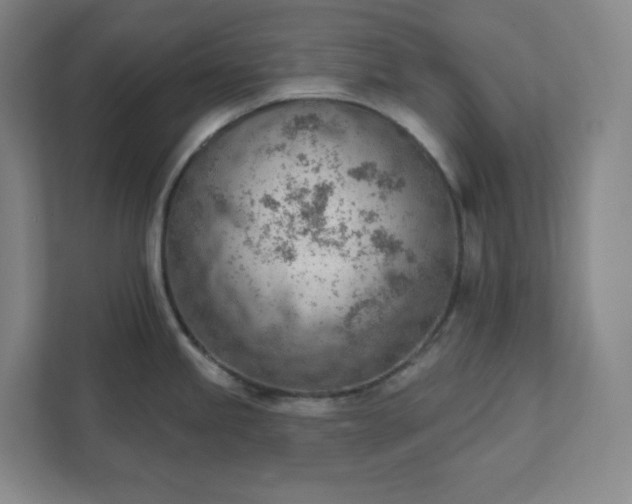 X0000111941245200908031132