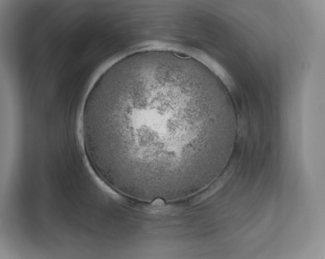 X0000111941247200908031132