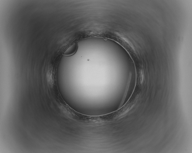 X0000111941250200908031131