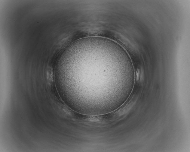 X0000111941251200908031131