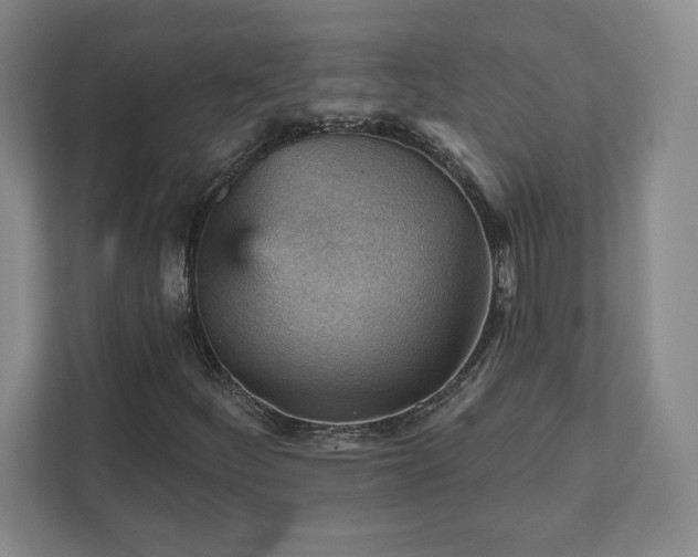 X0000111941252200908031131