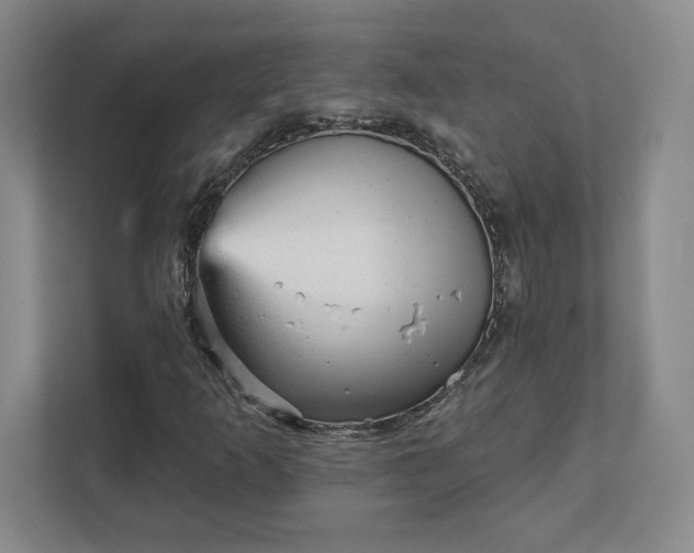 X0000111941253200908031131