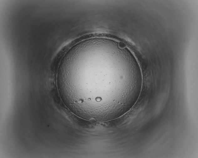 X0000111941255200908031131