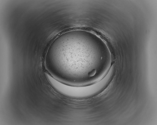 X0000111941257200908031131