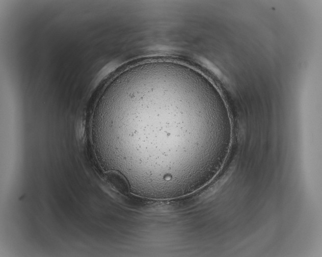 X0000111941259200908031131