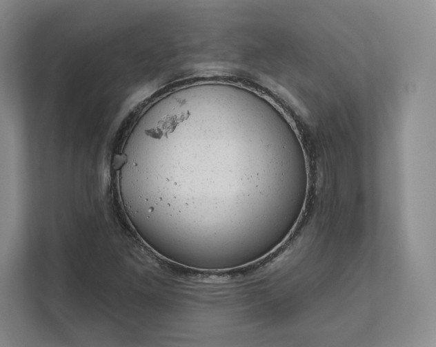 X0000111941261200908031131